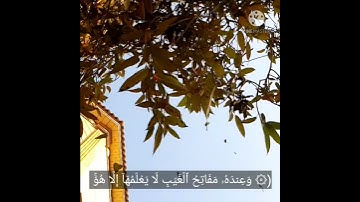 ( و عنده مفاتح الغيب...) سورة الانعام ٥٩