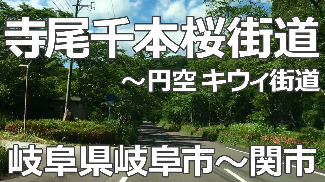 岐阜県の花街道 寺尾千本桜街道 県道59号 円空 キウィ街道 でドライブ 車載動画 岐阜県岐阜市 関市 Youtube