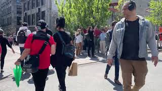 Capturing the Beauty of Old Port Montreal on a Walking Tour