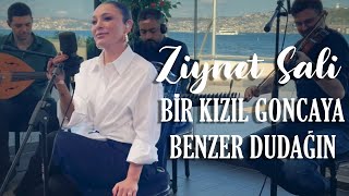 Ziynet Sali - Bir Kızıl Goncaya Benzer Dudağın (Akustik)