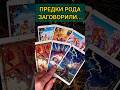 ВАЖНОЕ СООБЩЕНИЕ ОТ ПРЕДКОВ РОДА❤️ расклад таро #shorts  #гадание #таро