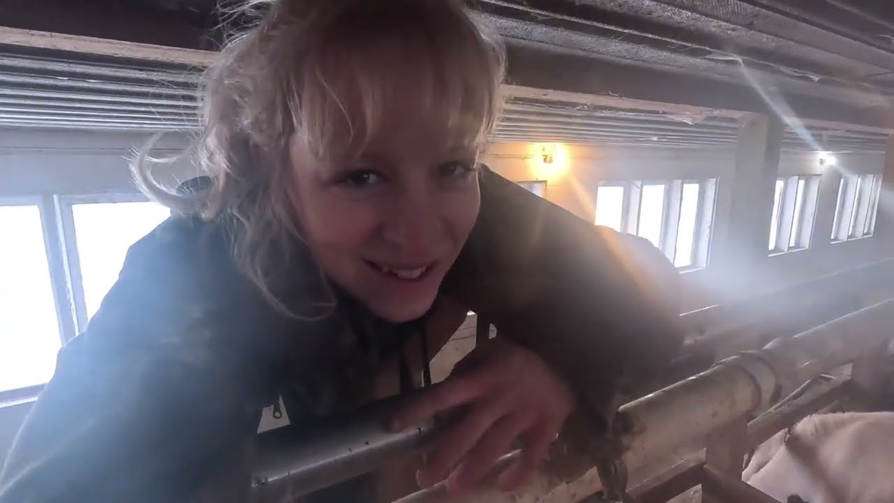 Early morning farm fixes, and dairy farmer chats…