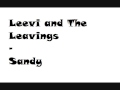 Leevi and The Leavings - Sandy