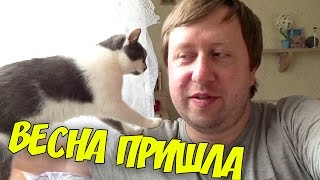ВЛОГ ВЕСНА НАЧАЛАСЬ, КАК Я УЧУСЬ В ШКОЛЕ YOUTUBE, ЛАСКОВАЯ КОШКА, СНИМАЕМ РОЛИК СЕМЬЯ РОЖИНЫХ ВЛОГ ВЕСНА НАЧАЛАСЬ, КАК Я УЧУСЬ В ШКОЛЕ YOUTUBE, ЛАСКОВАЯ КОШКА, СНИМАЕМ РОЛИК СЕМЬЯ РОЖИНЫХ