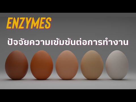 วีดีโอ: ความเข้มข้นของเอนไซม์กับอัตราการเกิดปฏิกิริยามีความสัมพันธ์กันอย่างไร?