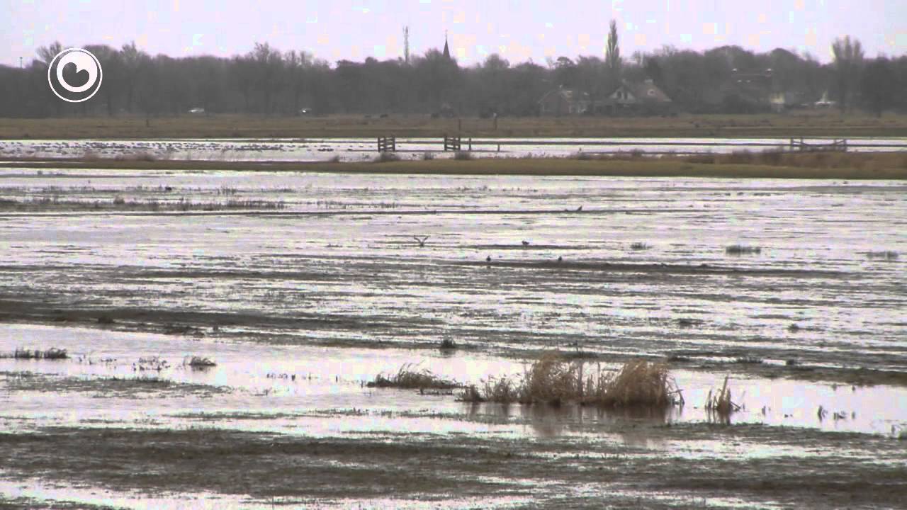 Fryske Gea tsjin ferjeien roek