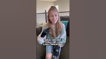 Sign Language Gloves