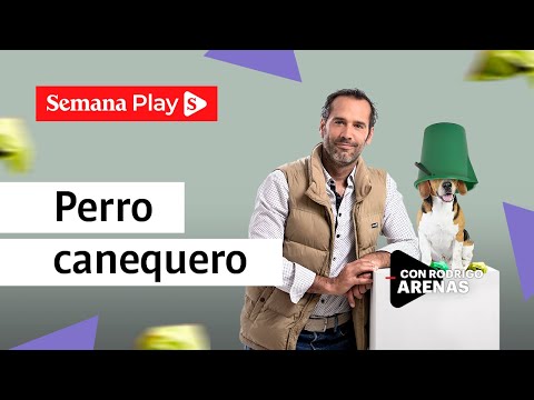 Evita que tu perro se coma todo lo que encuentra | Rodrigo Arenas