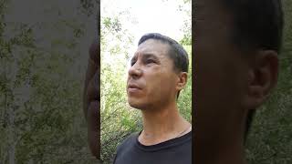 КОГО УМИРАЮЩИЙ ЭГРЕГОР УБИВАЕТ ПЕРВЫХ!? Александр Пичуев