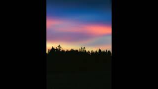 1|#284 Forest sunshine - No copyright song