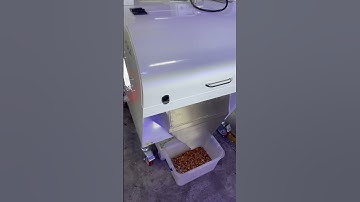 Single Chute Color Sorter for Broken Walnuts Sorting