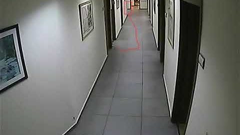 Vigilant NetStream indoor video Analytics