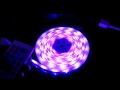 【LEDテープライトRGBセット】HSET50030RGB65_5M