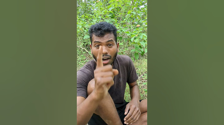 Snake Bite First Aid: Quick Steps to Stay Safe! ⛑️#camping #survival #bushcraft #outdoors #lifehack