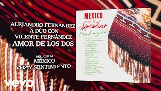 Video thumbnail of "Alejandro Fernández - Amor de los Dos (Cover Audio)"