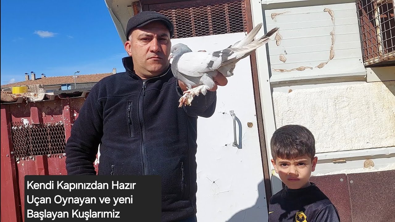 Kendi kapımızda uçurup Oynatigimiz Hazır oynayan ve yeni başlayan Kuslarimiz pazartesi saat 21:00 