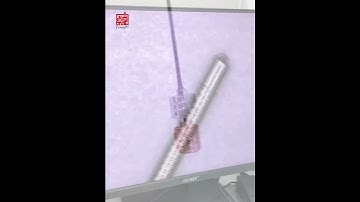 Custom Puncture Needles with Blunt & Tri-Beveled Stylets | ZorayPT Custom Solution Spotlight