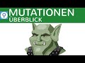 Was sind Mutationen und woher kommen sie?! & Mutationen im Überblick - 1 | Genetik