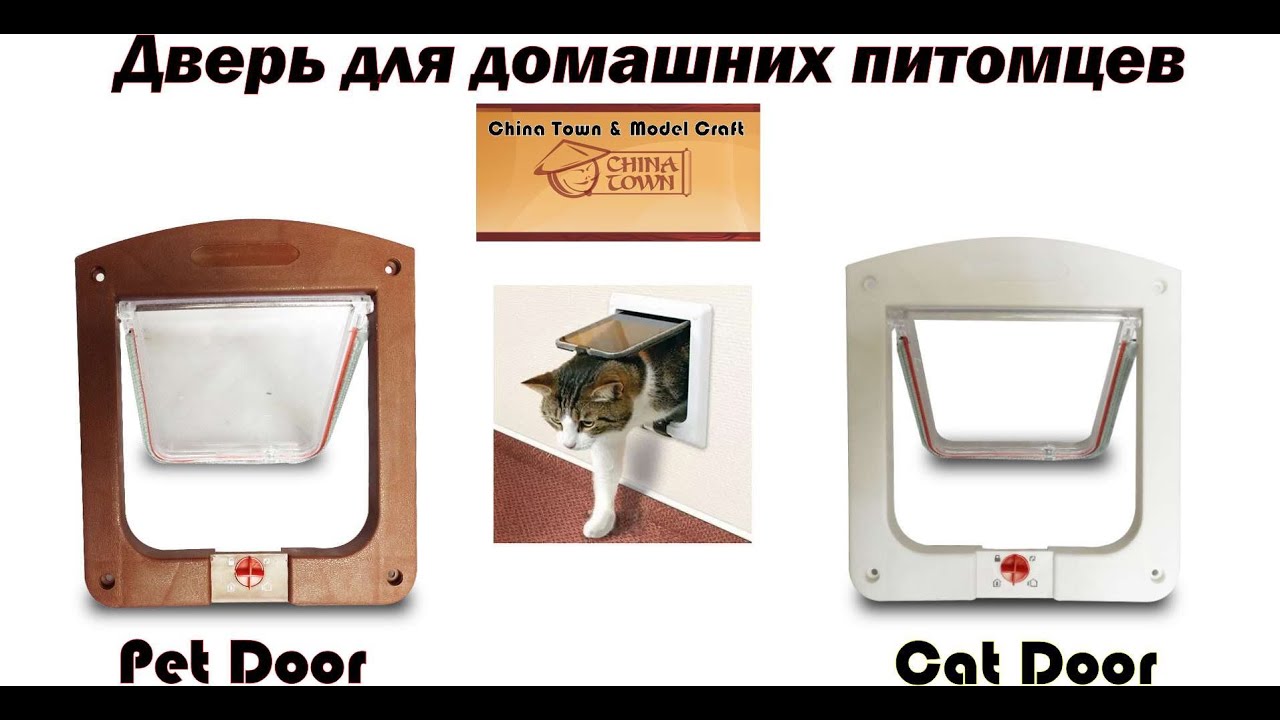 Pet Door. Дверь для свободного выхода ваших питомцев на улицу.