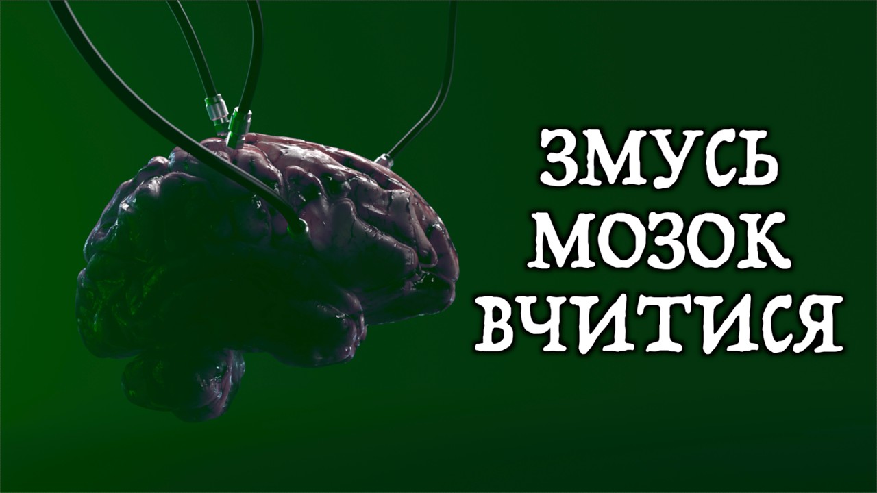 Примушуємо мозок вчитися – гайд із практичної нейробіології