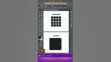 Adobe Illustrator For Beginners | Beginners Vs Expert | Graphic Design Tutorial