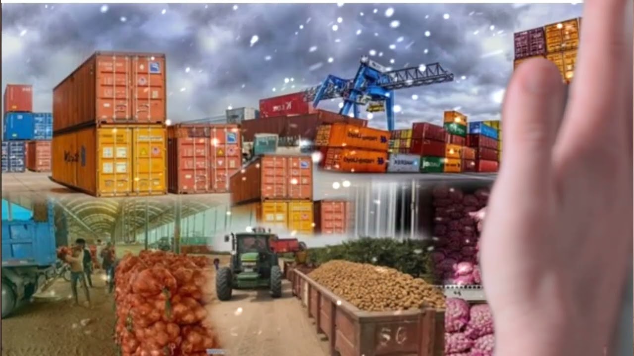 #النقل_والتجارة_للصف_السادس