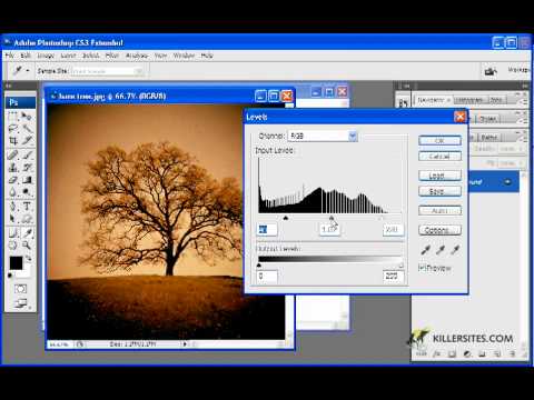 Photoshop CS Basics - Custom Shape Image