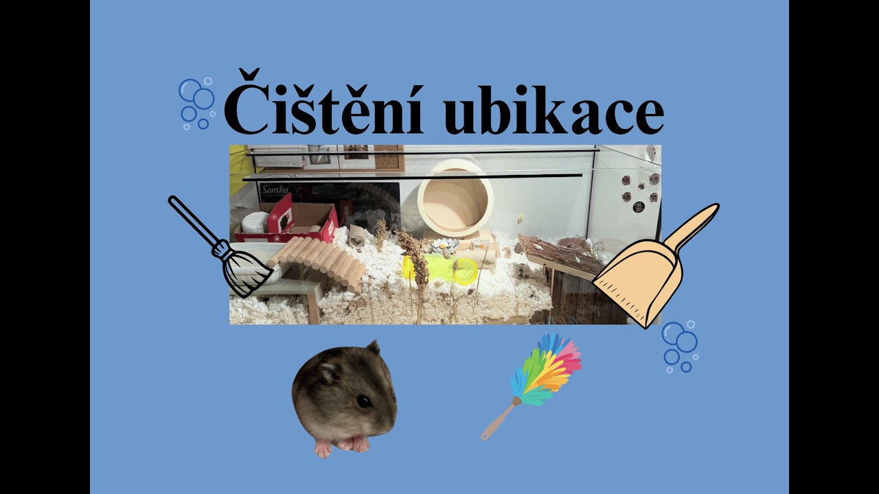 Čištění ubikace Jimovi: jak vyčistit křečkovi klec?