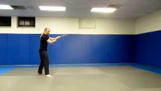 Hapkido Body Movement Drill - Stick