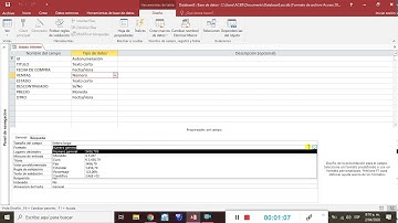 FORMATO MÁSCARA DE ENTRADA