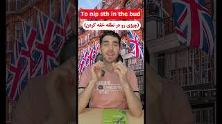 چیزی رو در نطفه خفه کردن به انگلیسی؟| #اصطلاحات_انگلیسی|#englishlearning #shorts #shortsvideo #ielts