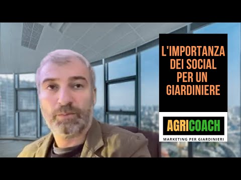 Video: Fiori di campagna: cosa scegliere per un giardiniere alle prime armi