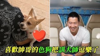 主人因病住院兩年，狗狗成為惡犬，訓犬師師徒合力訓犬，卻意外敗給了嘉賓 by 寵物檔案室 136,027 views 7 months ago 13 minutes, 24 seconds