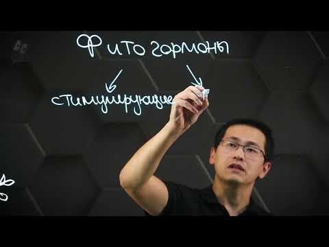 Регуляторы роста и развития растений. 9 класс.