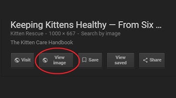 Add the "View Image" Button Back on Google Images
