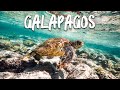 ISLAS GALÁPAGOS - ECUADOR - 4K UHD