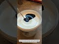 Amazing Black and White Paint Mixing Effect | Satisfying Visual Experiment
