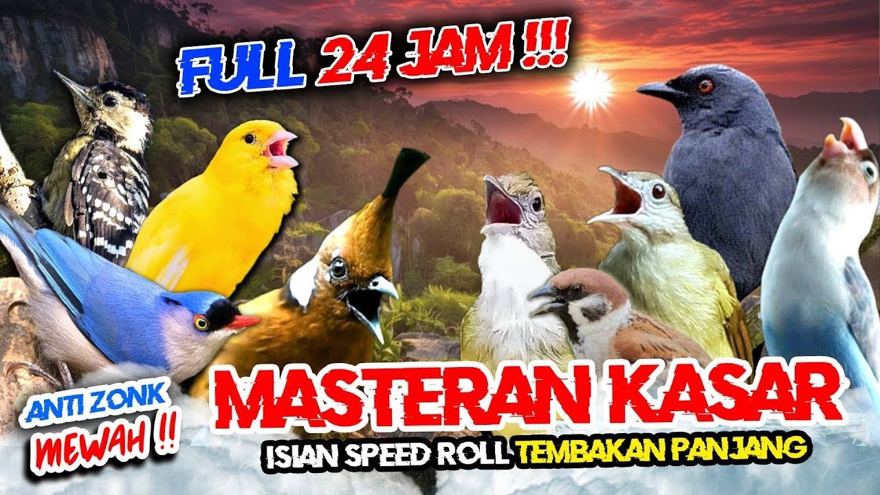 MASTERAN MURAI BATU FULL ISIAN TEMBAKAN KASAR TERLENGKAP - LIVE 24 JAM‼️