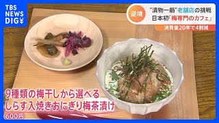 「最近食べてない」“梅干し離れ”進むなか老舗店が奮闘！見頃の梅は「見て食べて」楽しめる｜TBS NEWS DIG