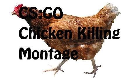 CS:GO Chicken Killing Montage