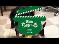 いなばWanちゅーるのTVCM出演ワンちゃん募集に応募したミニチュアダックスフンドの子犬です