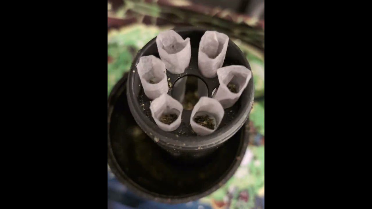 Packing 6-Quantum Joints with a Temu Grinder