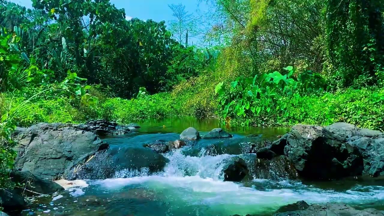 Beautiful Piano Music For Relaxation, Calm, Meditation, Deep Sleep #033