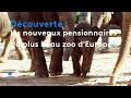 Les nouveaux pensionnaires du plus beau zoo deurope   mto  la carte