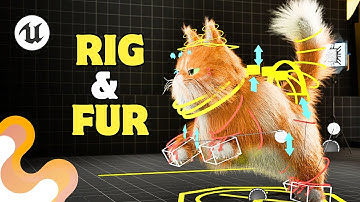 CONTROL RIG & FUR Groom | Premium Tutorial | Unreal Engine 5.6