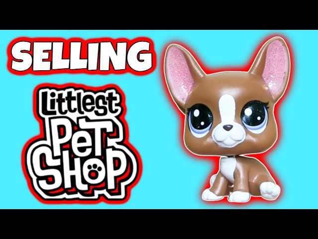 How much did littlest pet shop sets originally cost ? : r/LittlestPetShop