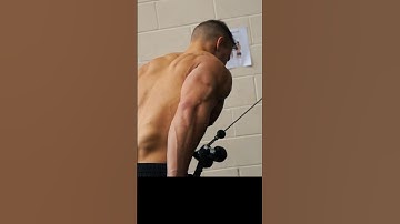 Recommended exercise for arms day – tricep kickback