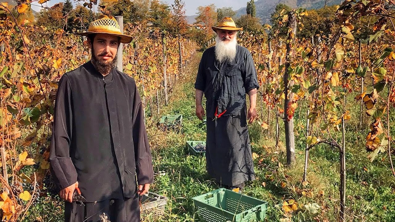 რაჭა, მონასტრული  მევენახეობის შესახებ / მეუფე ვახტანგი (ლიპარტელიანი)