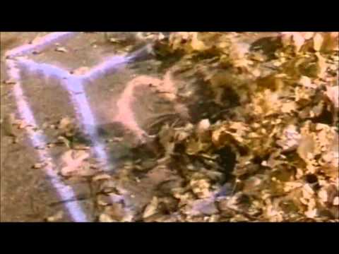 O.C. - Born 2 Live (Frankensteeno Remix)
