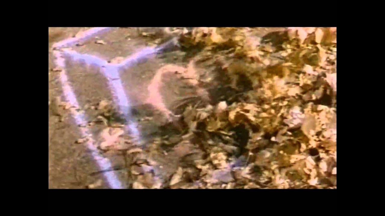 O.C. - Born 2 Live (Frankensteeno Remix) O.C. - Born 2 Live (Frankensteeno Remix)